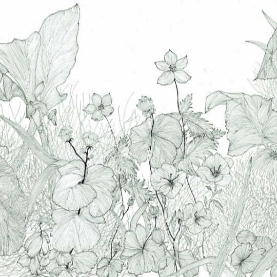 幸田真輝子作品